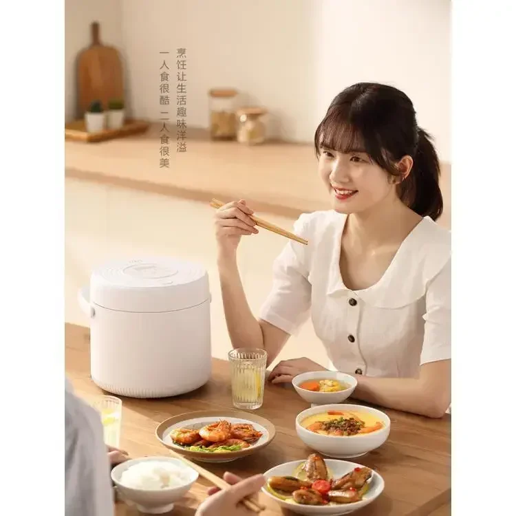 Mini Rice Cooker 110V 220V Dua - Baby Food Japanese review and price