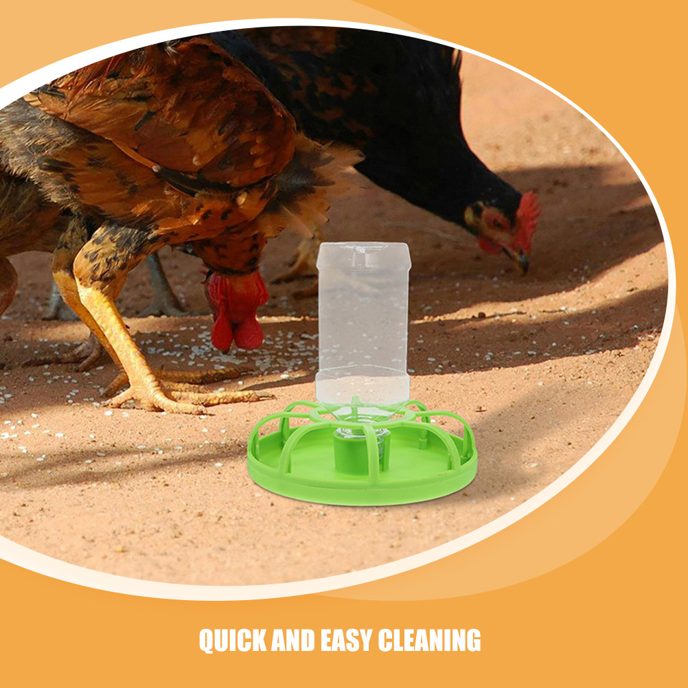 2Sets Quail Feeder Poultry Fee - Baby Food Feeder review and price